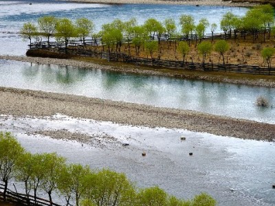 临沂医保卡变现需谨慎！"出财小神"教你合规用余额避风险