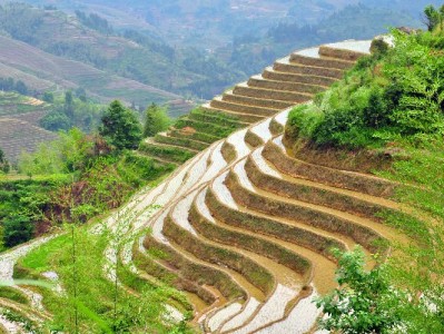 花呗提现失败？这些原因和正确用法你必须知道