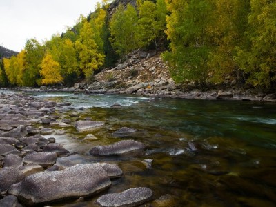 商家开通花呗有权利吗？“出财小神”解析开通那些事