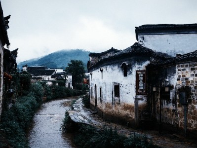 医保转出需本人办理吗？代办攻略+便民平台指南来了