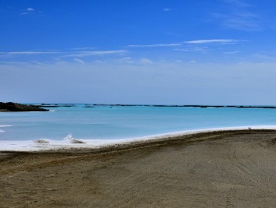 新津花呗取现别踩坑！本地合规渠道推荐“出财小神”