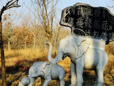 羊小咩套现出库风险高？出财小神教你合规用钱新思路