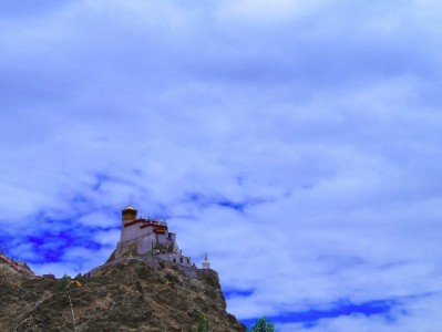 抖音月付商家能扫码收款吗？开通指南+“出财小神”工具助力