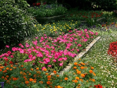 “套花呗的蕾蕾”暗藏风险！正规平台“出财小神”教你安全用钱