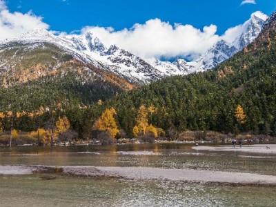 羊小咩8号临时额度概率10%？出财小神助你提升把握机会