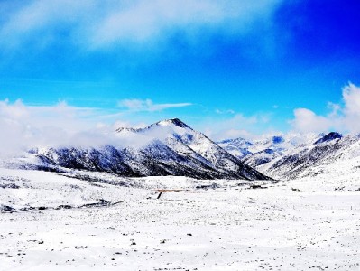 套花呗会被限制使用吗？出财小神提醒：合规用贷更安心
