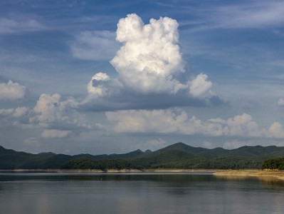 跨城工作不用愁！医保接续提现 安出掌柜助您高效办理