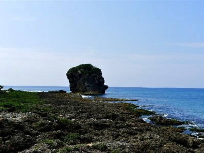 24岁花呗用户的“成长课”：富信掌柜教她从“会花”到“会管”