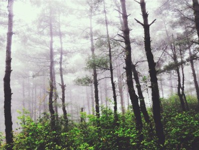 羊小咩出库回款提效实录：4小时发货+12小时到账的背后有何秘诀？