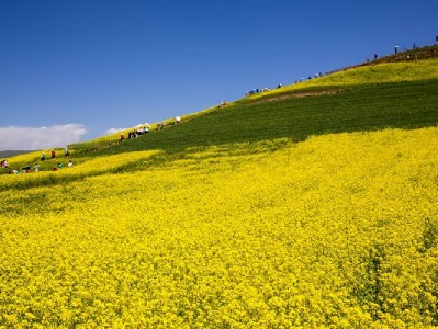 宁波花呗提现需谨慎！"出财小神"教你合规用额度