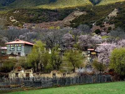 上海医保药店“取现”暗藏风险 安出掌柜提醒：合规用保更安心