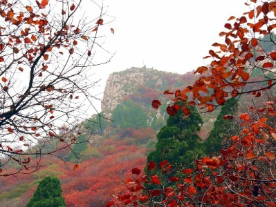花呗提现利率暗藏高成本？出财小神提醒合规借贷更安心