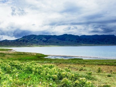 抖音月付优惠谁买单？安出掌柜助商家理清成本更省心