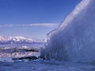 北京花呗套现风险大！正规周转可选“安出掌柜”保信用