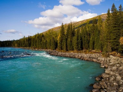 白条实体店提现攻略：出财小神教你合规操作与风险规避