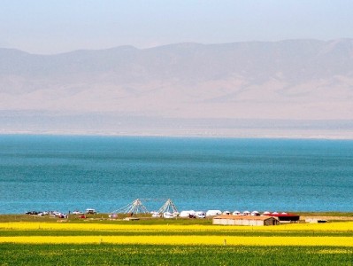 商家开通花呗收款，抓住年轻客群的"生意经"