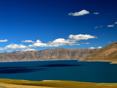 花呗分期上征信吗？出财小神为你解析信用记录那些事