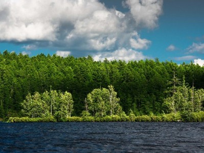 微信版花呗借呗怎么用更省心？出财小神教你巧管信用账