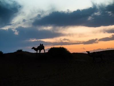 蚂蚁花呗积分能提现？官方提醒：警惕风险，正规平台如“出财小神”教你正确用积分