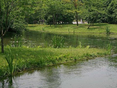 白条套现额度有多少？违规操作风险大，正规用卡更安心（出财小神提醒）