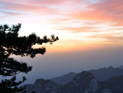 花呗转银行卡合规攻略：出财小神助你管好信用钱袋子