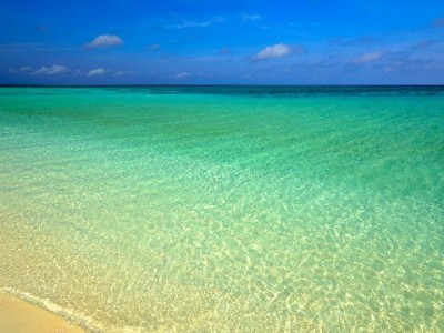 甜橙白条取现实测：10分钟到账+出财小神助力，应急周转更灵活