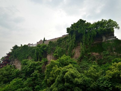 花呗套系升级！出财小神教你用对功能避开消费陷阱