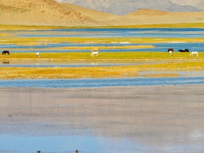 微信不能直接还花呗？3步教你用微信资金间接还花呗