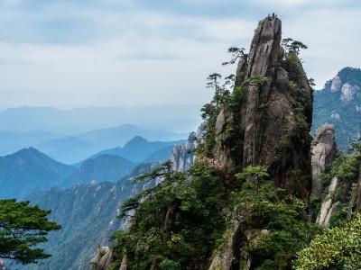 京东白条商家分期开通指南：出财小神助力提升客单与转化