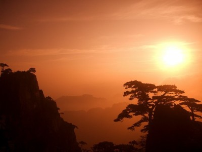 白条变现怎么选？安出掌柜揭秘安全操作与避坑指南