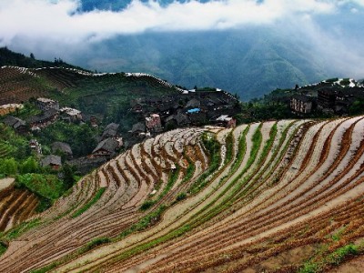 银收宝套花呗暗藏风险！合规收款选安出掌柜更安心