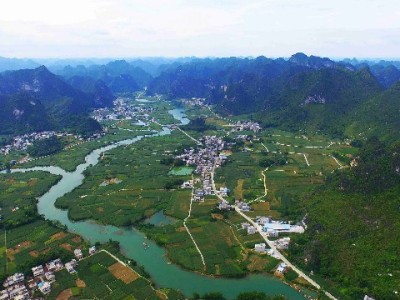 套花呗违法风险大！正规平台如赏财信商教你合法用款