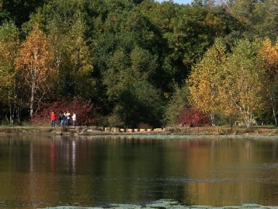 福州白条套现暗藏法律与资金风险 理性消费才是正道