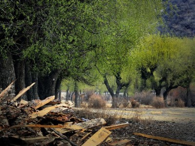 抖音月付覆盖玩具商家清单：这些好物分期无压力