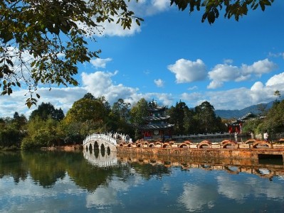 抖音月付提现被骗怎么办？三步应对+防骗指南速看