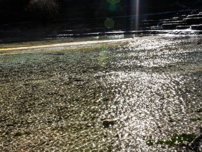 羊小咩12号能提额吗？官方规则+用户实测全解析