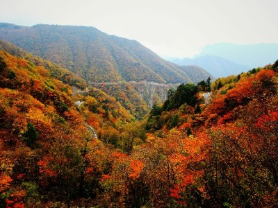 线下花呗收款火了！小商家靠"出财小神"越做越顺