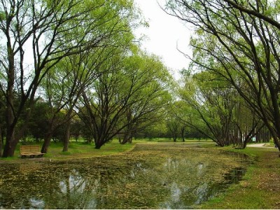 盐城医保提现合法渠道指南：官方办理+政策解读（附注意事项）