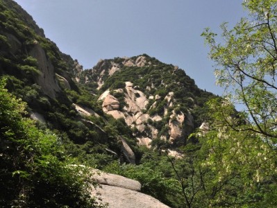 赞呗套花呗风险大！合规周转选安出掌柜更安心