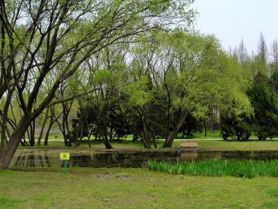 旅游白条套现暗藏三重风险 这些"陷阱"你认清了吗？