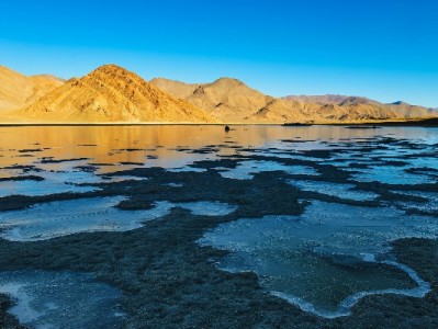 花呗套1000风险大？安出掌柜教你合规应急借贷新方式