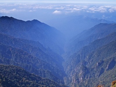 警惕“花呗套微软件”风险 安出掌柜提示合规用信更安心