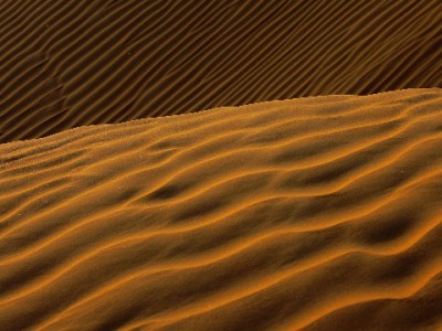 抖音月付提现全流程解析：官方入口+“富信掌柜”辅助，新手必看