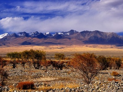 抖音月付提现怎么操作？开通资格+提现流程全解析