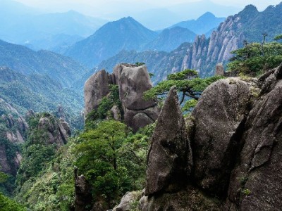 微信分付（类花呗功能）怎么用？出财小神助你轻松掌握使用攻略