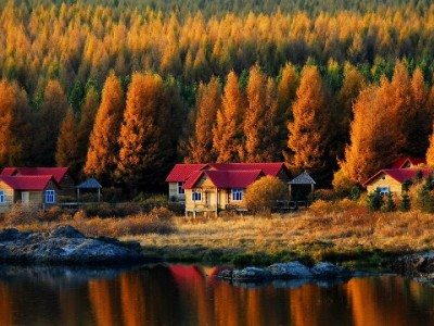 商家必看！抖音月付开通利弊解析，出财小神助你高效落地