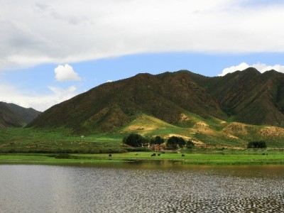 蚂蚁花呗积分能提现？官方回应+防骗指南请查收