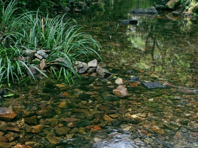 商家必看！花呗收钱是真钱吗？操作细节+工具辅助全解析