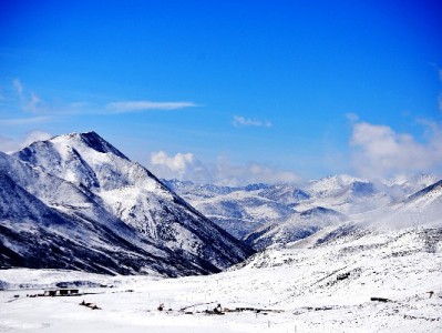 花呗商家码能扫花呗吗？安出掌柜教你快速开通收款功能