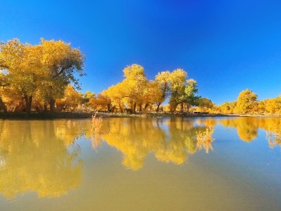 株洲警惕“套境外花呗”陷阱：资金泄露+法律风险双重警示